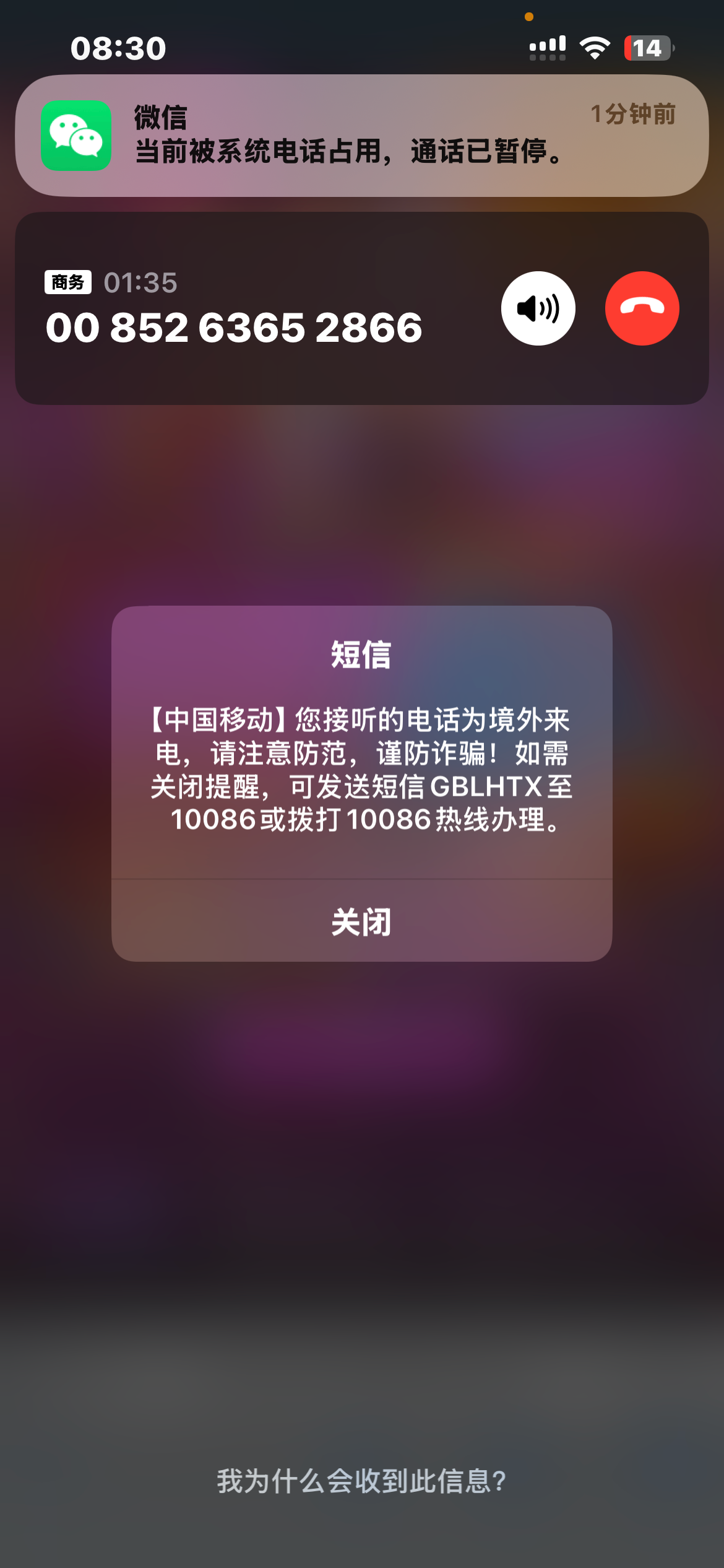 IMG_2773.png